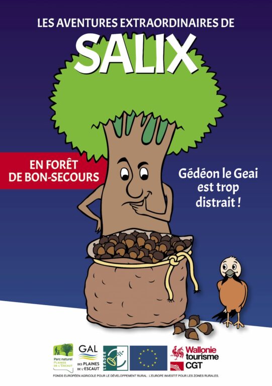 Salix à Bon-Secours