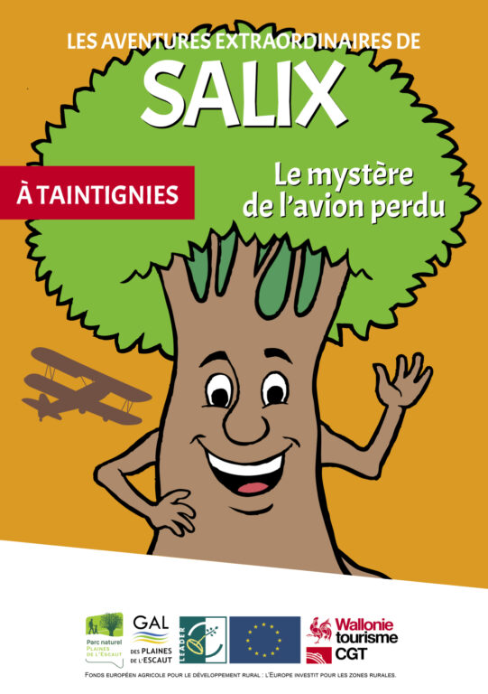 Salix à Taintignies